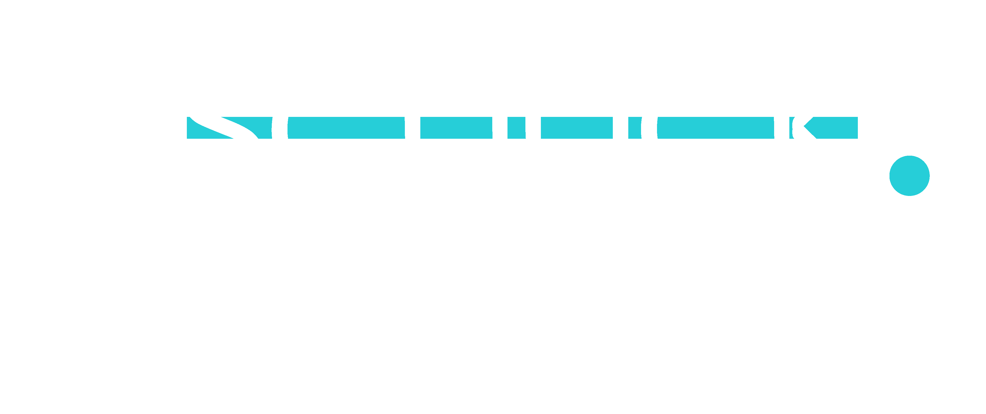 TheSchuck.Agency – Fractional CMO + CRO Services